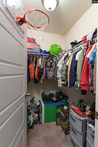 734 AUTUMN SHILOH Drive, Chapin, SC 29036