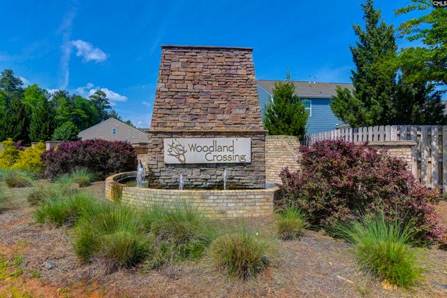 734 AUTUMN SHILOH Drive, Chapin, SC 29036