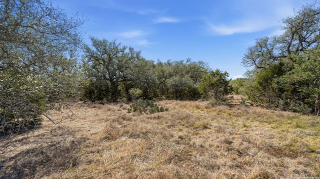 2124 FRANCISCO PASS, Canyon Lake, TX 78133
