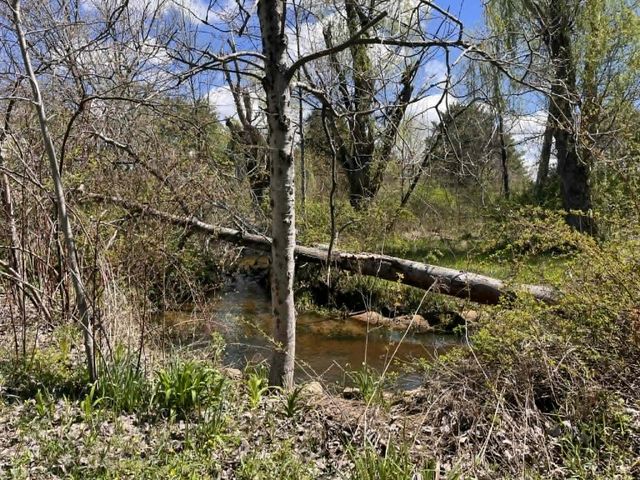 2619 E Bard Road, Muskegon, MI 49445
