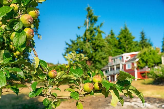 7206 SW 248th Street, Vashon, WA 98070
