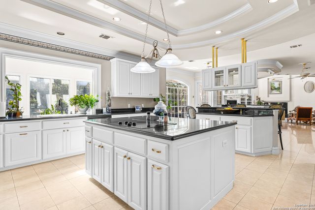 112 Canter Gait, Shavano Park, TX 78231