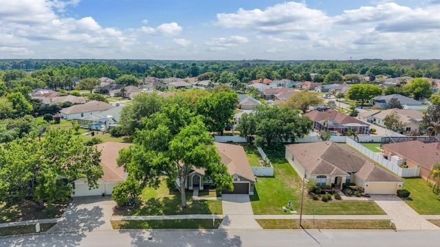 22536 MAGNOLIA TRACE BOULEVARD, Lutz, FL 33549