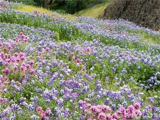 2920 Clark L-6, Butte Valley, CA 95965