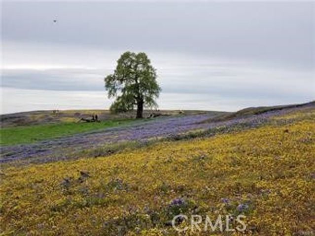 2920 Clark L-6, Butte Valley, CA 95965