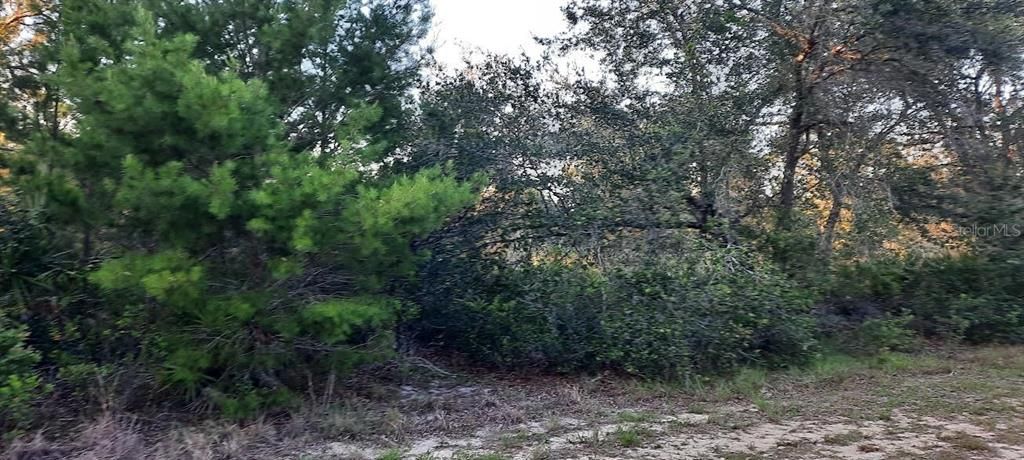 910 GRANADA DRIVE, Indian Lake Estates, FL 33855
