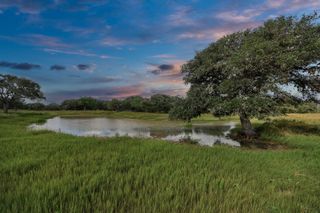 TBD Lot 62 Gadwall Lane, Columbus, TX 78934