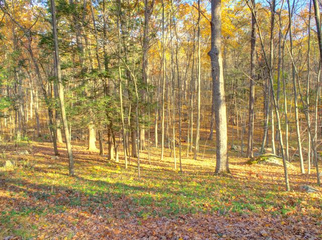 67 Mulberry Road, Mansfield, CT 06250