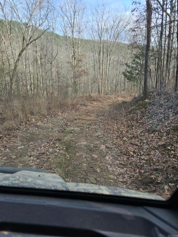 2433 Fayette Rd, Clinton, AR 72031