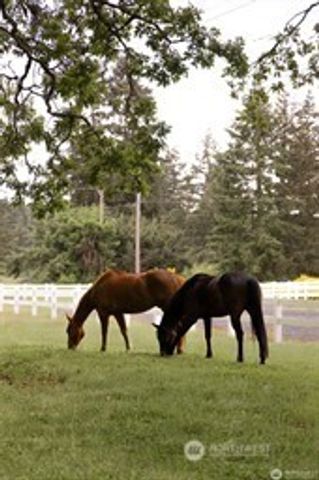 4716 266th Street E, Spanaway, WA 98387