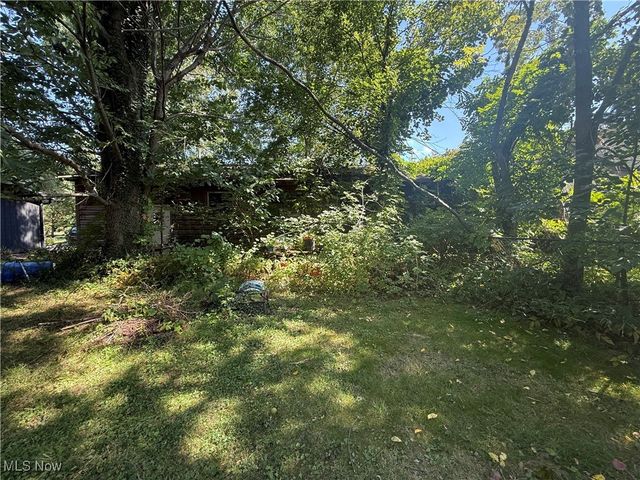 9128 Elm Street, Kirtland, OH 44094