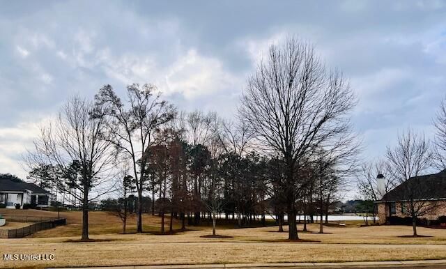 112 Honours Drive, Madison, MS 39110