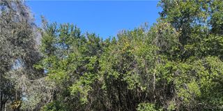 1296 N Magnolia Hill Way, Inverness, FL 34453