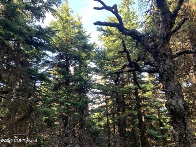 L2 Paine Circle, Anchorage, AK 99516