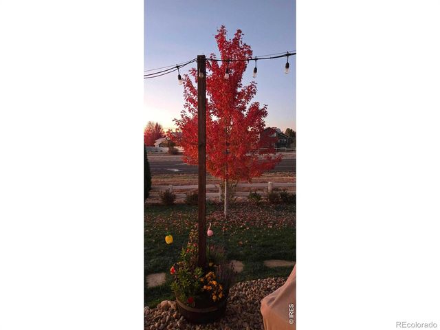 10038 Buttesfield Street, Firestone, CO 80504