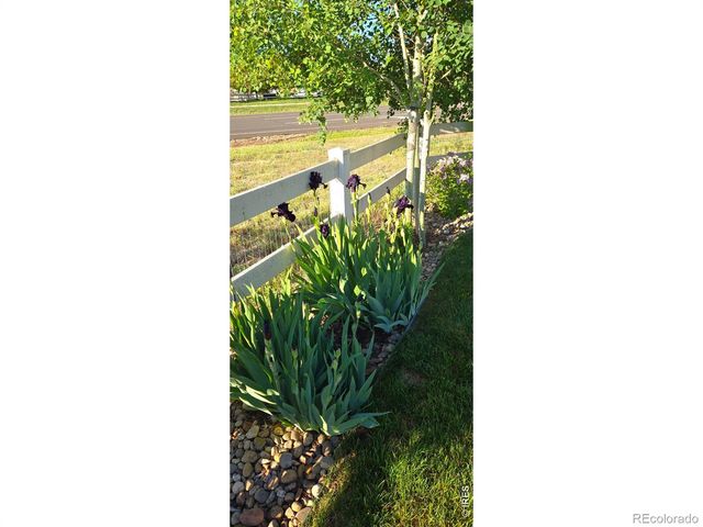 10038 Buttesfield Street, Firestone, CO 80504