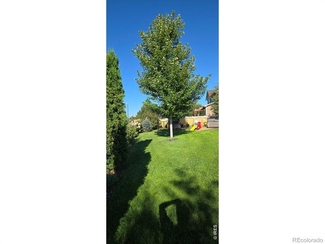 10038 Buttesfield Street, Firestone, CO 80504