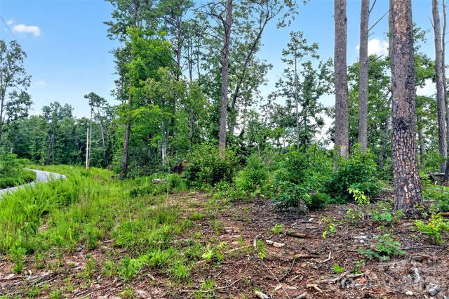 TBD Antioch Road, Lake Lure, NC 28746