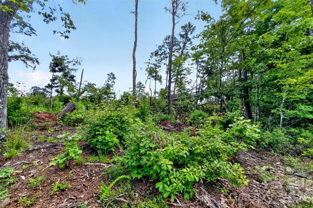 TBD Antioch Road, Lake Lure, NC 28746