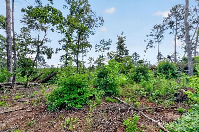 TBD Antioch Road, Lake Lure, NC 28746