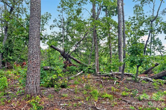 TBD Antioch Road, Lake Lure, NC 28746