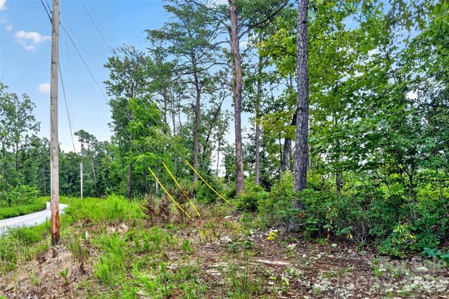 TBD Antioch Road, Lake Lure, NC 28746
