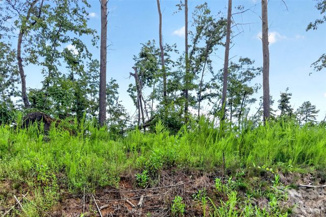 TBD Antioch Road, Lake Lure, NC 28746