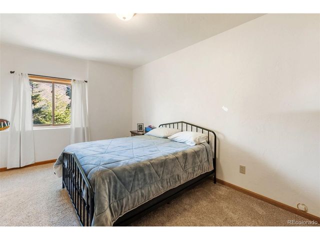 9110 Mountain Rd, Cascade, CO 80809