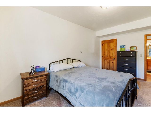 9110 Mountain Rd, Cascade, CO 80809
