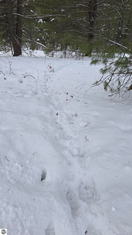 Image 10 of property listing at VL Longfield Drive, Lewiston, MI 49756