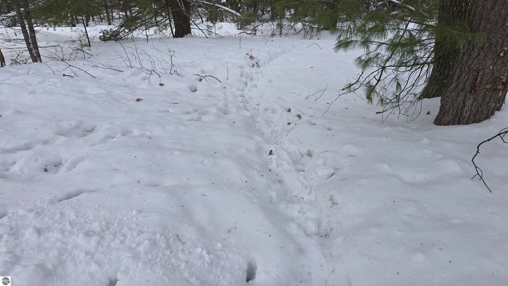 Image 11 of property listing at VL Longfield Drive, Lewiston, MI 49756