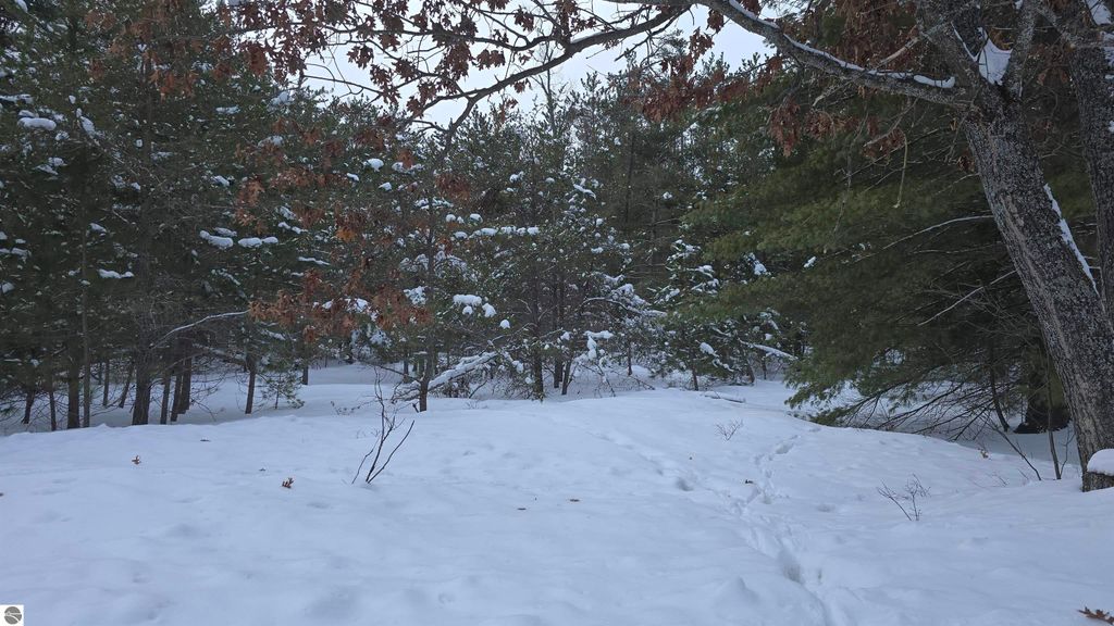 Image 12 of property listing at VL Longfield Drive, Lewiston, MI 49756