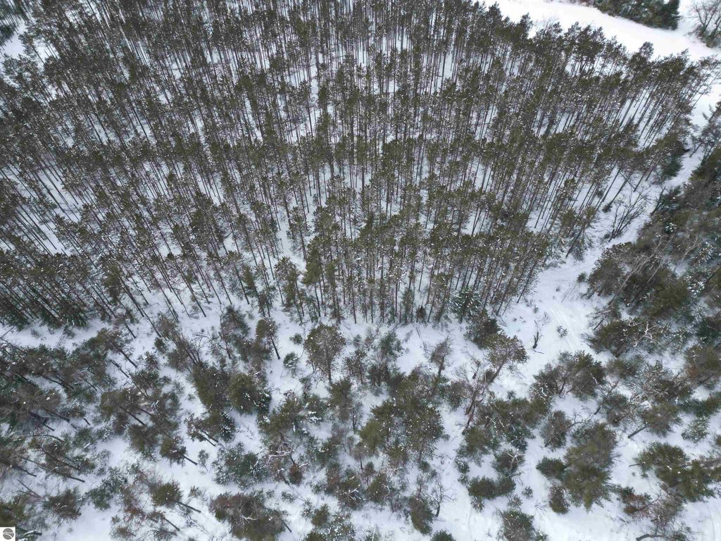 Image 13 of property listing at VL Longfield Drive, Lewiston, MI 49756