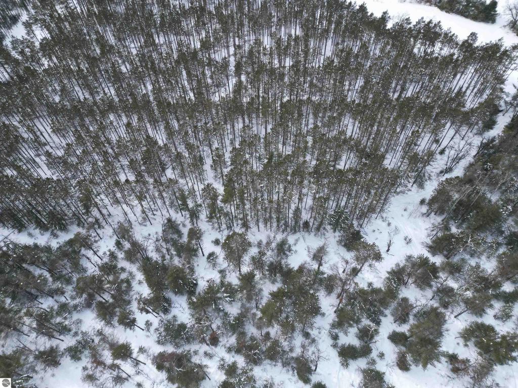 Image 14 of property listing at VL Longfield Drive, Lewiston, MI 49756