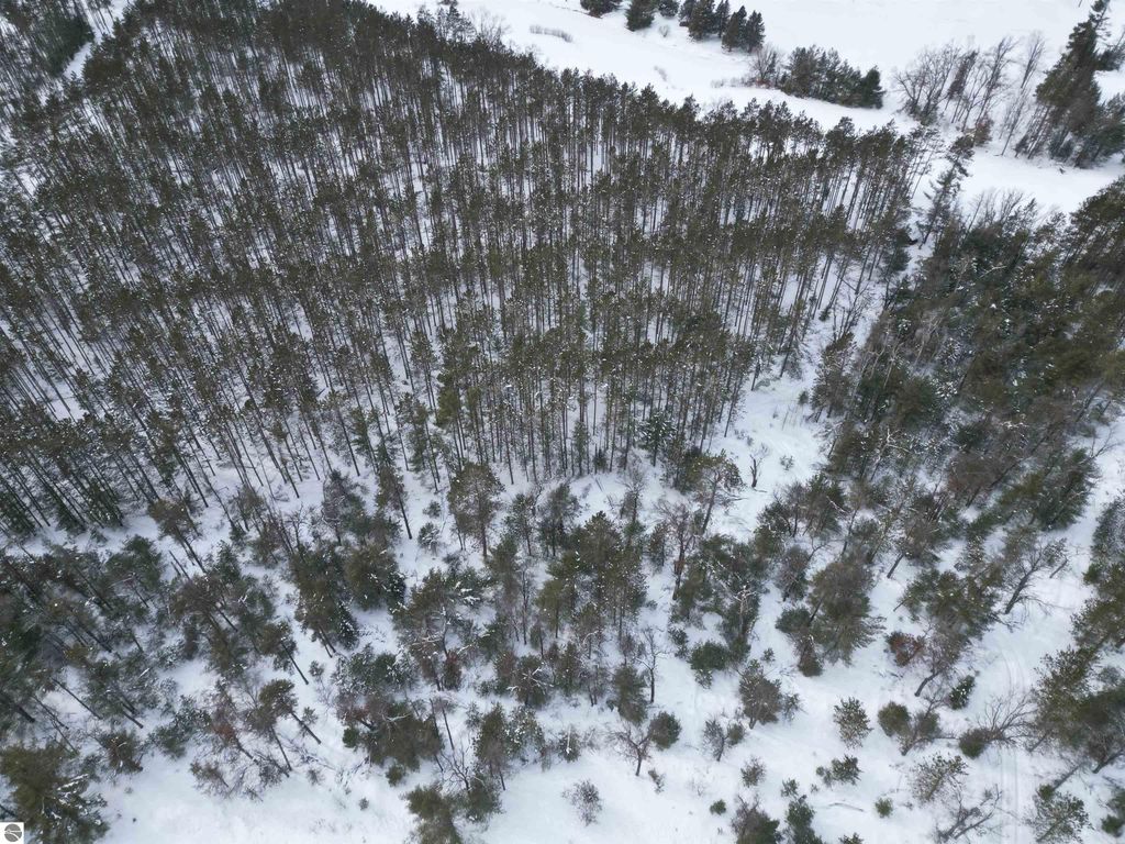 Image 15 of property listing at VL Longfield Drive, Lewiston, MI 49756