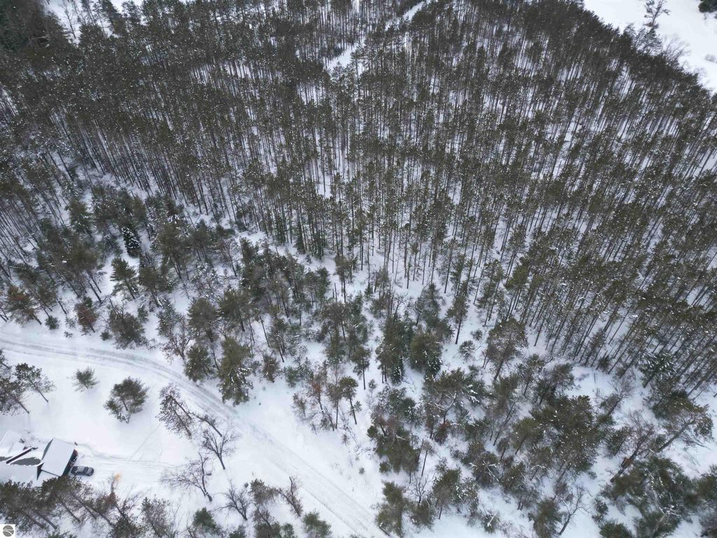 Image 17 of property listing at VL Longfield Drive, Lewiston, MI 49756