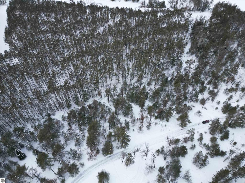 Image 18 of property listing at VL Longfield Drive, Lewiston, MI 49756