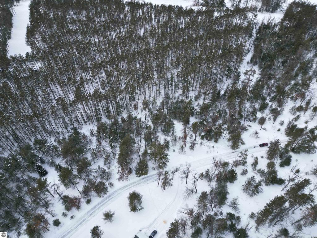 Image 19 of property listing at VL Longfield Drive, Lewiston, MI 49756