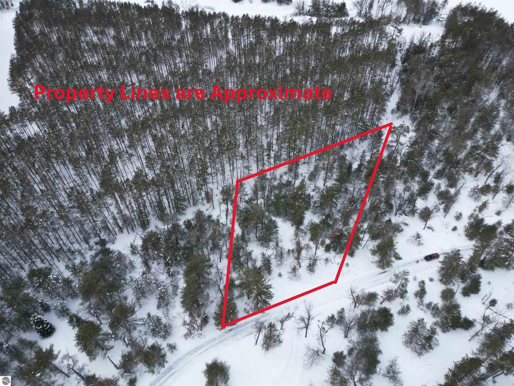 Image 2 of property listing at VL Longfield Drive, Lewiston, MI 49756