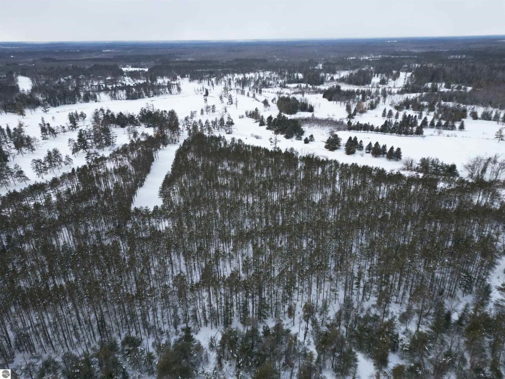 Image 21 of property listing at VL Longfield Drive, Lewiston, MI 49756