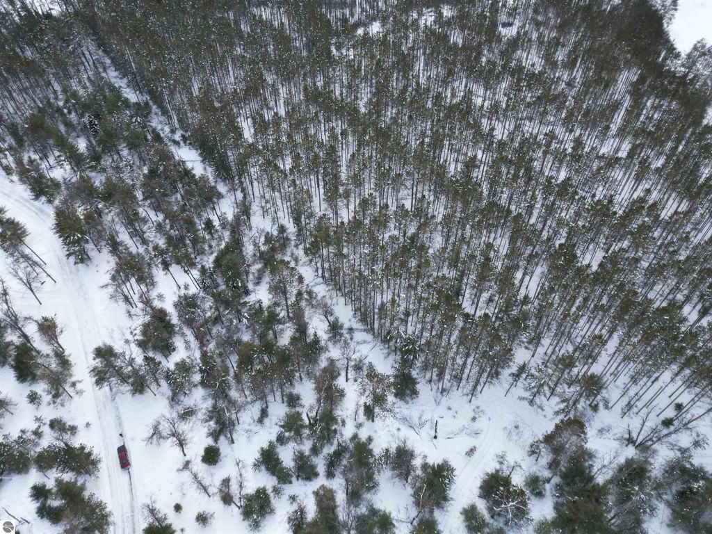 Image 22 of property listing at VL Longfield Drive, Lewiston, MI 49756