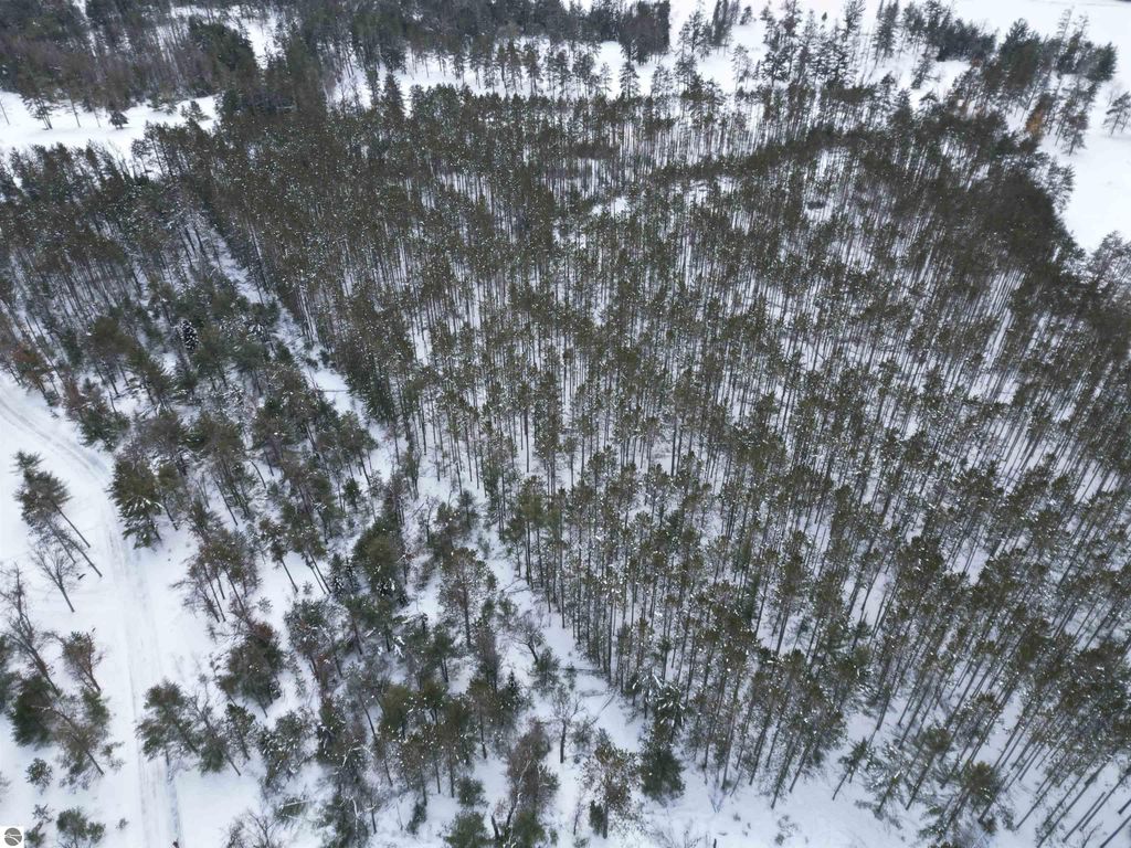 Image 23 of property listing at VL Longfield Drive, Lewiston, MI 49756