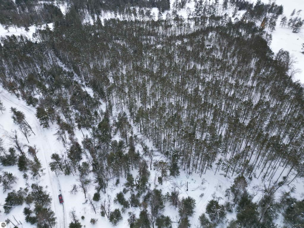 Image 24 of property listing at VL Longfield Drive, Lewiston, MI 49756