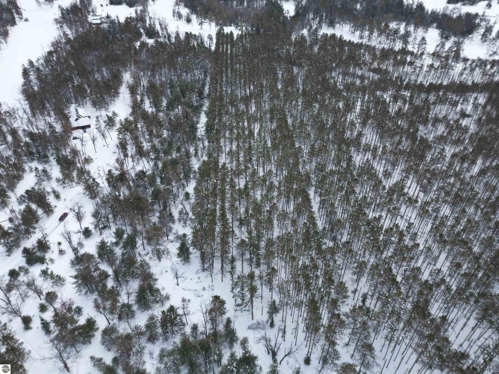 Image 25 of property listing at VL Longfield Drive, Lewiston, MI 49756