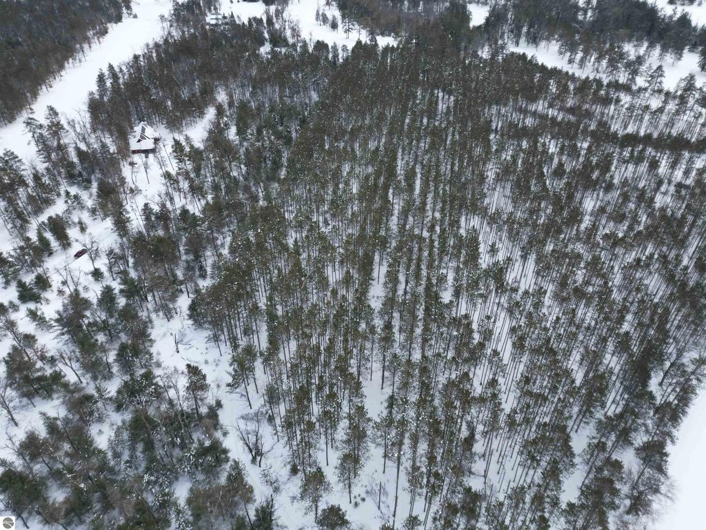 Image 26 of property listing at VL Longfield Drive, Lewiston, MI 49756