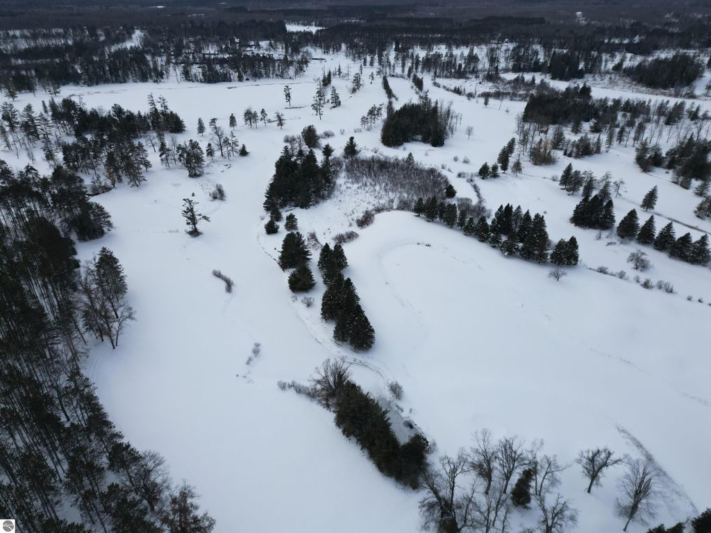 Image 28 of property listing at VL Longfield Drive, Lewiston, MI 49756