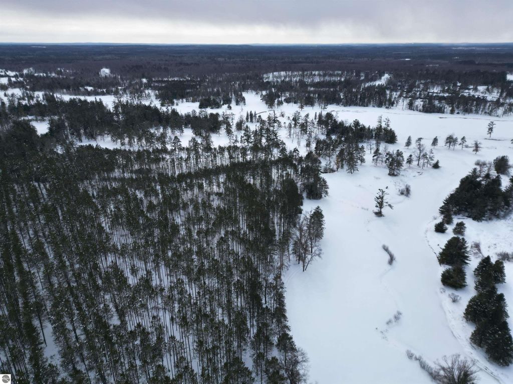 Image 29 of property listing at VL Longfield Drive, Lewiston, MI 49756