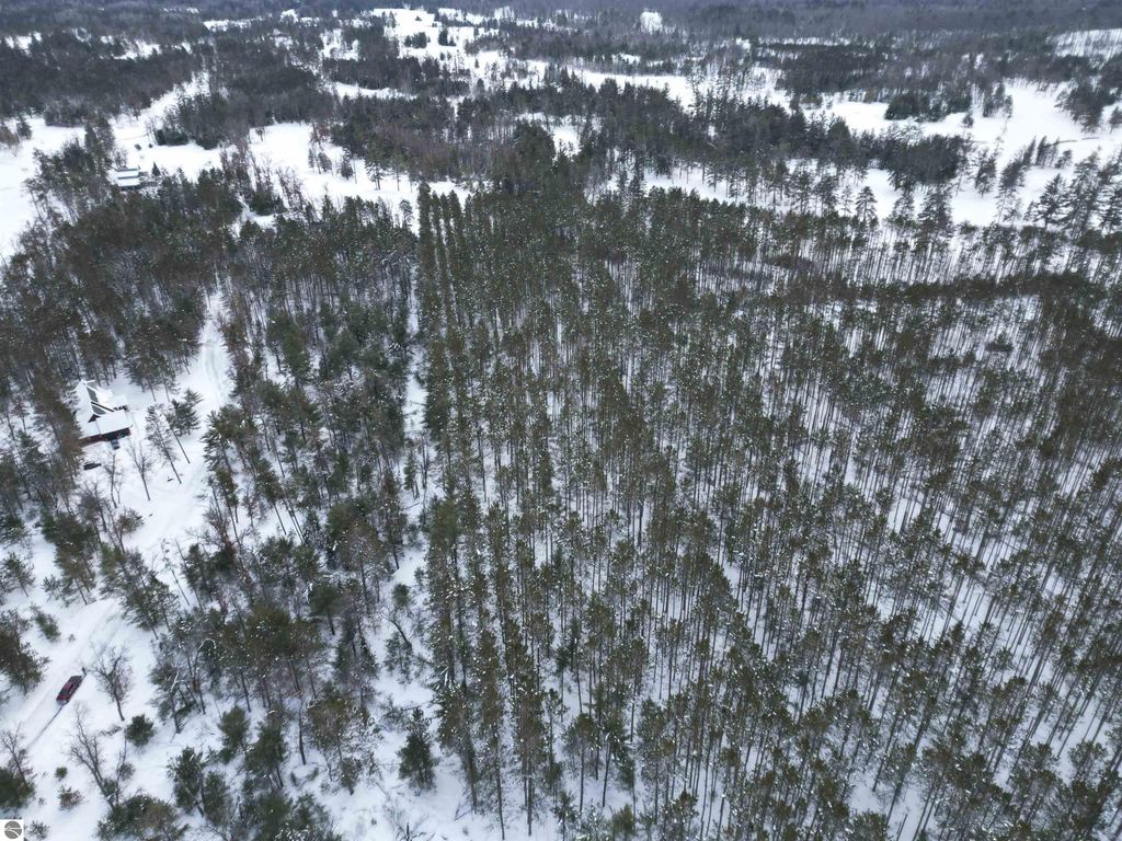 Image 31 of property listing at VL Longfield Drive, Lewiston, MI 49756