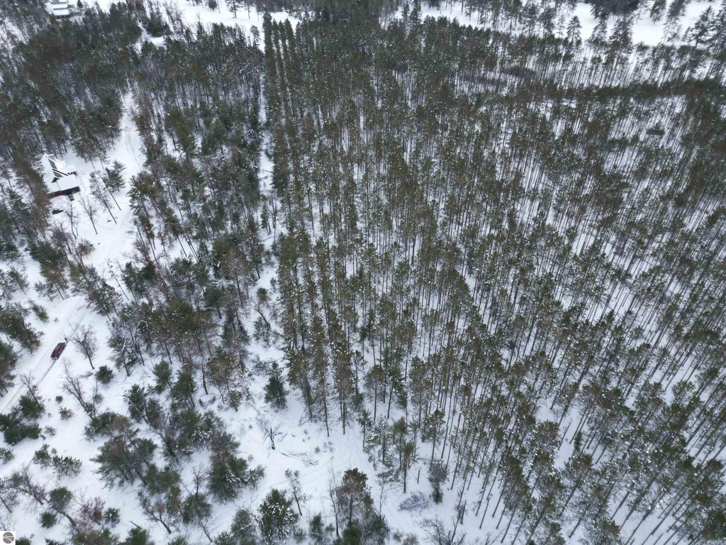 Image 32 of property listing at VL Longfield Drive, Lewiston, MI 49756