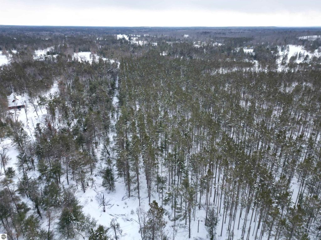 Image 34 of property listing at VL Longfield Drive, Lewiston, MI 49756